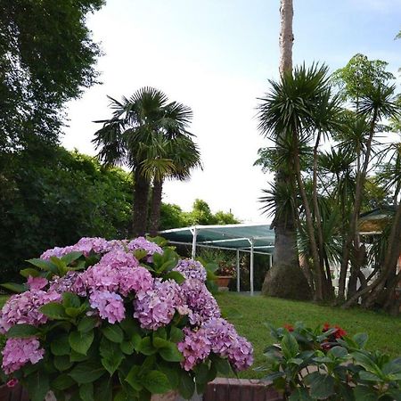 Bed and Breakfast Il Piccolo Nido Борго-Монтенеро Экстерьер фото